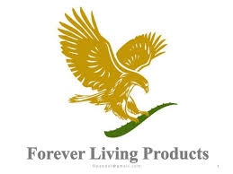 Forever Living Marketing Plan